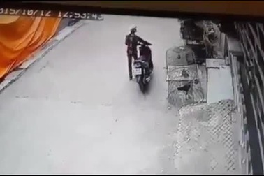 Trộm gà cho ngay vào cốp xe máy