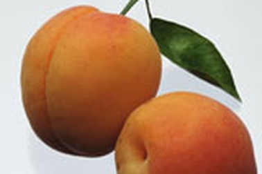 Ăn nhiều mơ có thể tử vong?