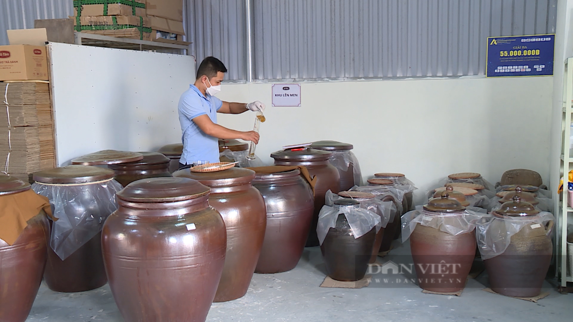 Kỹ sư bỏ việc, làm giàu nhờ gom đất trồng thứ quả lạ tím lịm - 3 Kỹ sư bỏ việc, làm giàu nhờ gom đất trồng thứ quả lạ tím lịm - 3