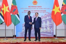 Thúc đẩy hợp tác song phương và đa phương giữa Việt Nam - Dominica
