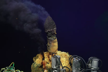 Phát hiện hàng trăm dạng sống chưa từng thấy sống trong ngọn núi lửa