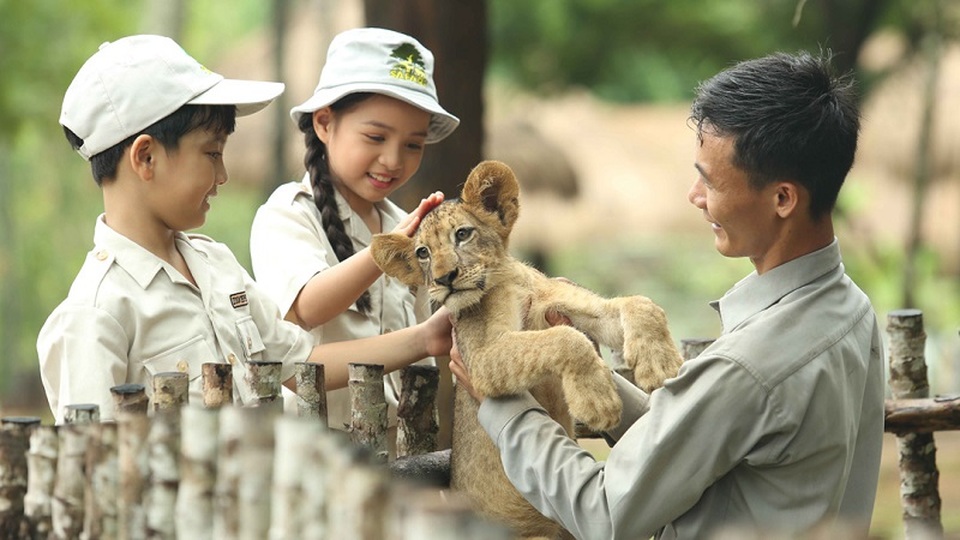 Vingroup sắp ra mắt Thành phố không ngủ hàng đầu khu vực - 6 Vingroup sắp ra mắt Thành phố không ngủ hàng đầu khu vực - 6
