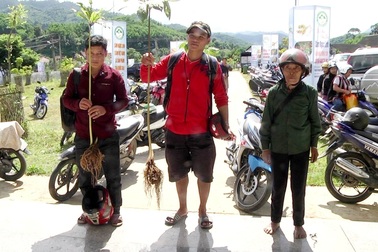 Quảng Nam: “Mỏ vàng” trên đỉnh Ngọc Linh