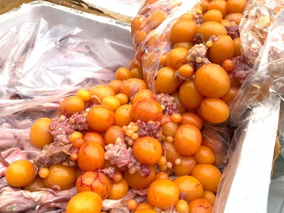 Hà Nội: Cảnh sát bắt hàng tấn lưỡi vịt, trứng non nhập lậu chuẩn bị mang đi tiêu thụ - 4 Hà Nội: Cảnh sát bắt hàng tấn lưỡi vịt, trứng non nhập lậu chuẩn bị mang đi tiêu thụ - 4