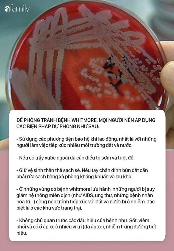Những sự kiện y tế nổi bật nhất năm 2019 - Ảnh 1. Những sự kiện y tế nổi bật nhất năm 2019 - Ảnh 1.