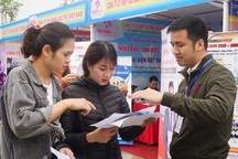 Nghệ An: Nhu cầu tuyển lao động tăng cao sau kỳ nghỉ Tết