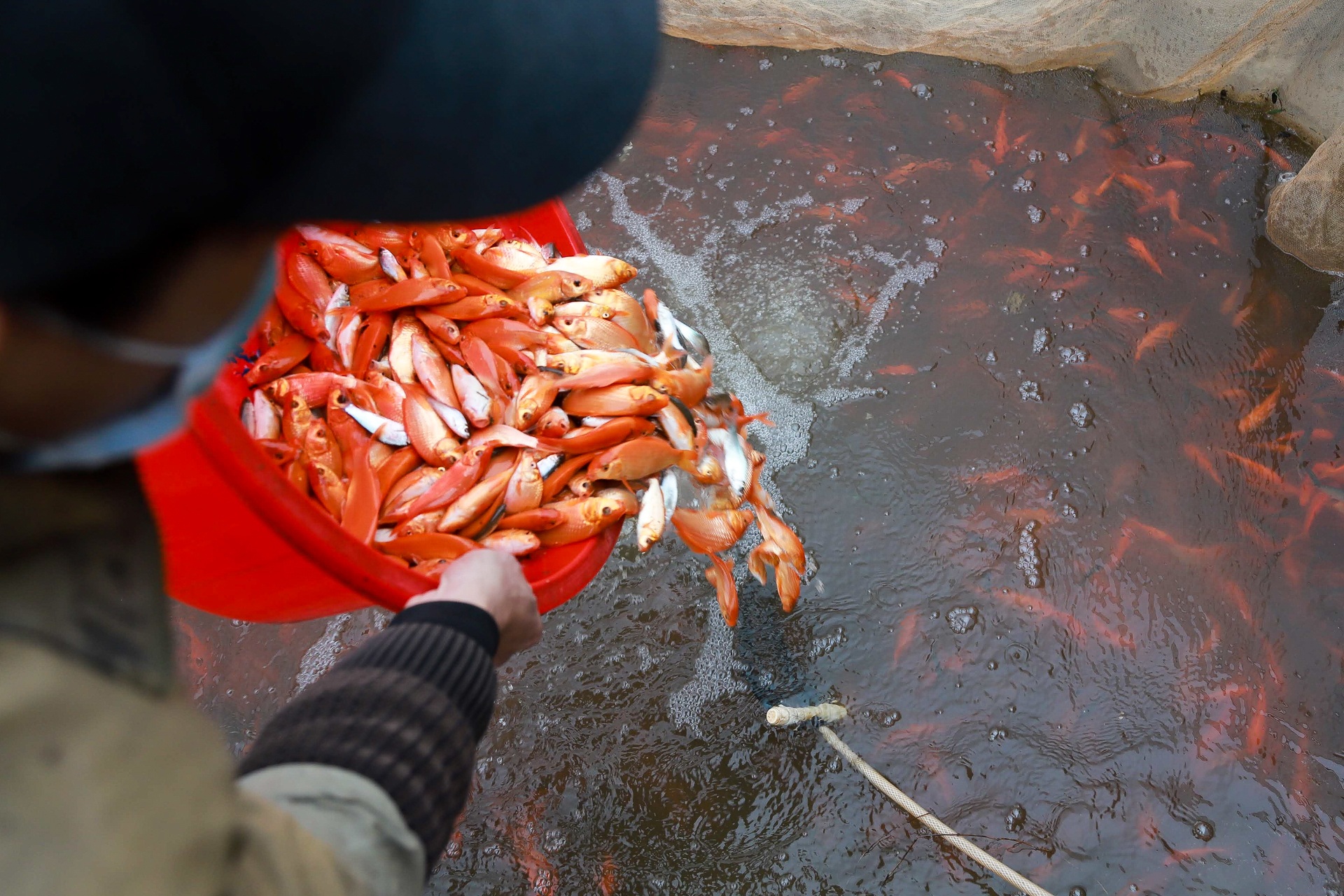 Làng nghề sản xuất phương tiện cho ông Công, ông Táo hối hả thu hoạch - 15
