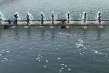 Vụ rơi cánh quạt điện gió: Chưa thống nhất số tiền bồi thường