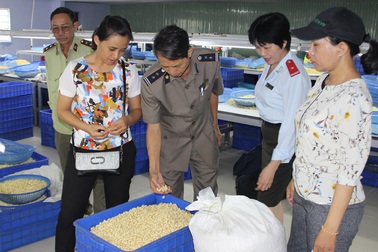 Hà Nội yêu cầu thanh tra an toàn thực phẩm 100% tại các quận huyện