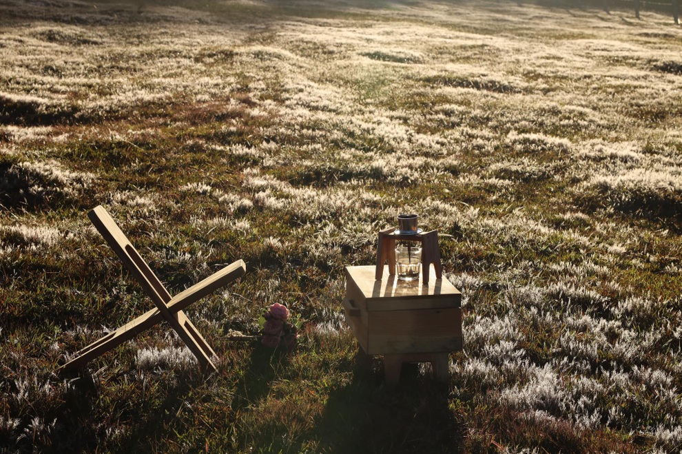 Đồi cỏ hồng trong sương sớm đẹp như trời Âu ở thành phố ngàn hoa - 11 Đồi cỏ hồng trong sương sớm đẹp như trời Âu ở thành phố ngàn hoa - 11