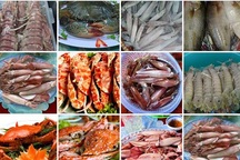 Buôn hải sản tươi sống qua mạng, làm sao để lãi cao?