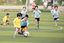 Trẻ ngày càng có ít thời gian cho các hoạt động thể chất