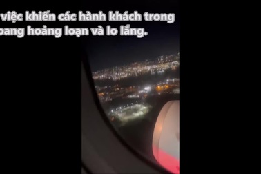 Khoảnh khắc động cơ máy bay gặp sự cố vì va phải chim khi đang cất cánh