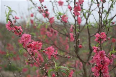 Vui chơi, giải trí cuối tuần tại Hà Nội