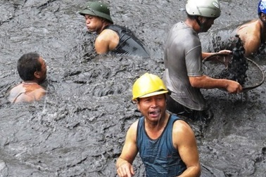 Ngành than thiệt hại 500 tỷ đồng do mưa lũ