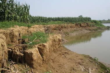“Cát tặc” lộng hành, hàng trăm mét bãi bồi ven sông sạt lở nghiêm trọng