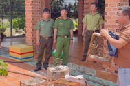 Công an vận động hộ dân ở Tây Ninh thả 50 con chim chào mào về tự nhiên