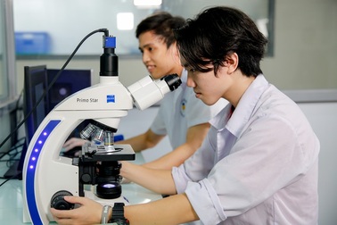 TPHCM đầu tư đào tạo nhân lực đạt chuẩn quốc tế ở 8 ngành trọng điểm nào?