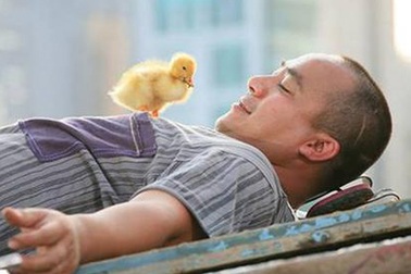 “Liên hoan phim 17 sẽ lấy lại niềm tin cho người làm điện ảnh”