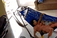 Khoảnh khắc trăn khổng lồ trườn sát sau lưng mà chủ nhà không hay biết