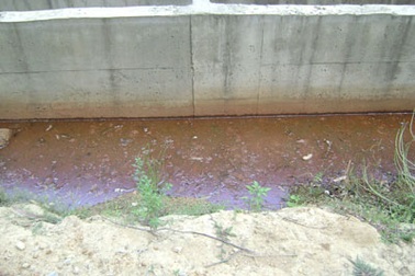 Sống ở nơi đốt nước giếng cũng… cháy