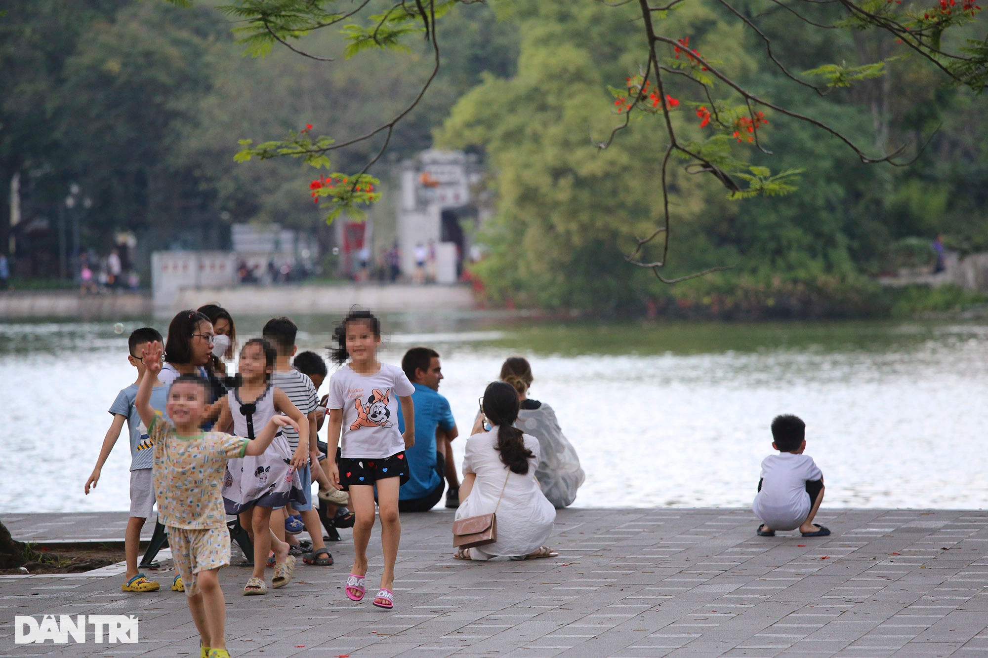 Tràn ngập chó trên phố đi bộ hồ Gươm bất chấp TP Hà Nội đã quy định cấm - 13 Tràn ngập chó trên phố đi bộ hồ Gươm bất chấp TP Hà Nội đã quy định cấm - 13