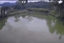 Đi câu dưới đường điện cao thế, người đàn ông bị điện phóng tử vong