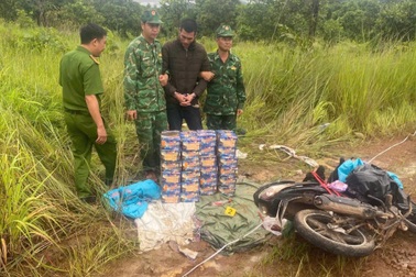 Mật phục bắt 2 đối tượng vận chuyển pháo nổ qua biên giới