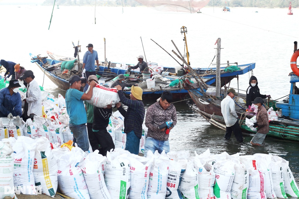 Trắng đêm cào ốc gạo, ngư dân bỏ túi bạc triệu - 2 Trắng đêm cào ốc gạo, ngư dân bỏ túi bạc triệu - 2