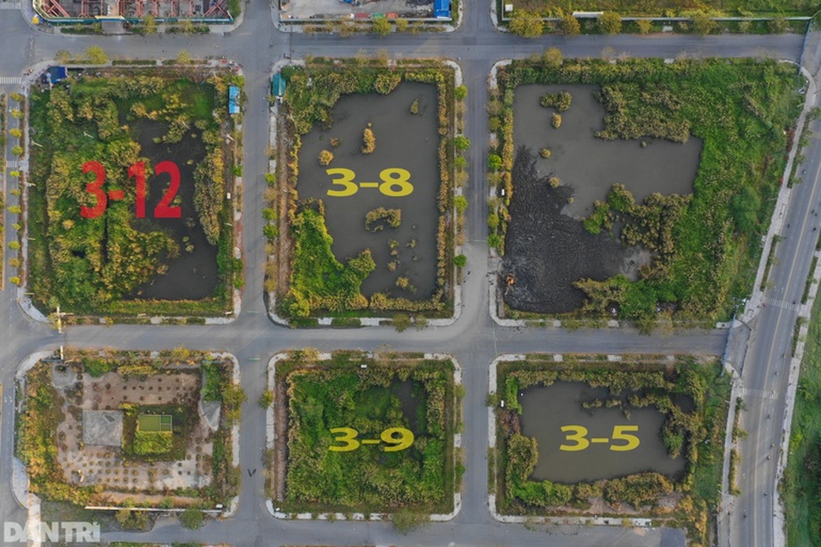 Vì sao 2 doanh nghiệp trúng đấu giá đất Thủ Thiêm bị cưỡng chế? - 1 Vì sao 2 doanh nghiệp trúng đấu giá đất Thủ Thiêm bị cưỡng chế? - 1