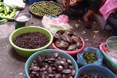 Vụ thủy sản Hà Nội “ăn” kim loại nặng: Chỉ phát hiện gần 25% mẫu có asen