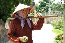 Cảm phục cụ bà gần 90 tuổi ra đồng thấy khỏe hơn ở nhà