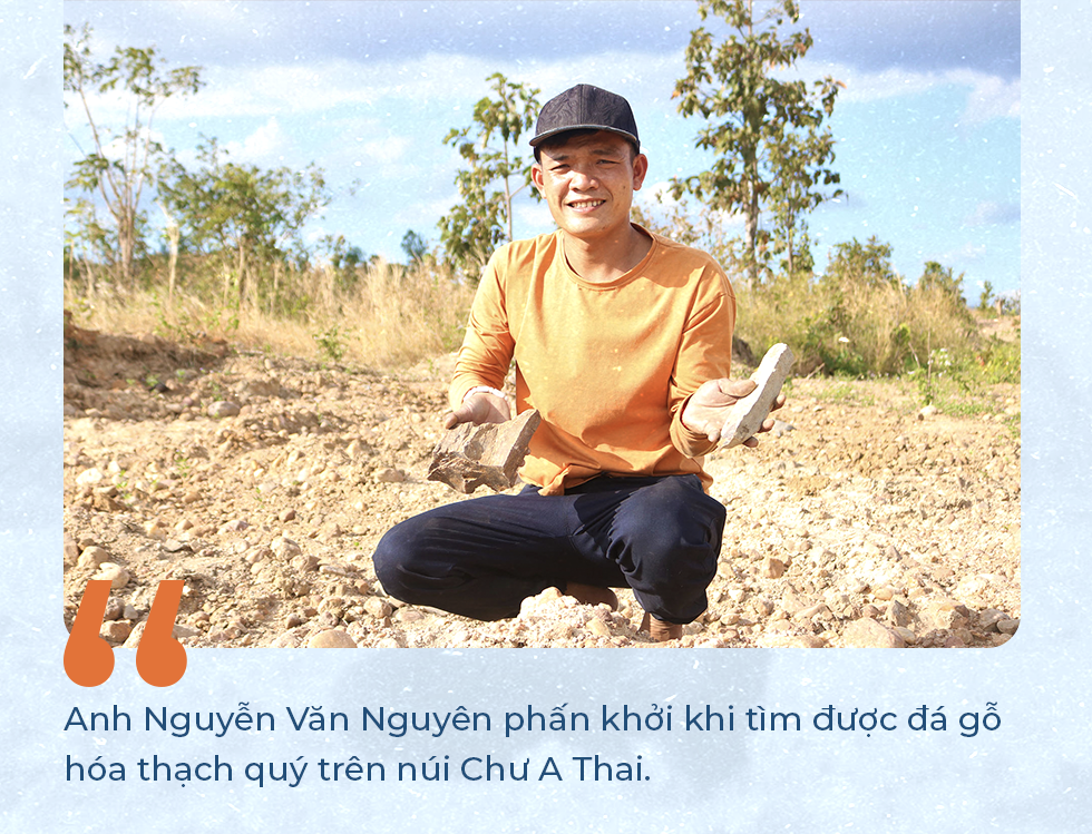 Bí ẩn về vương quốc gỗ hóa thạch trên cao nguyên Gia Lai - 5 Bí ẩn về vương quốc gỗ hóa thạch trên cao nguyên Gia Lai - 5