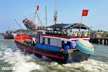 Không ghi nhật ký khai thác thủy sản tàu cá bị phạt tới 700 triệu đồng