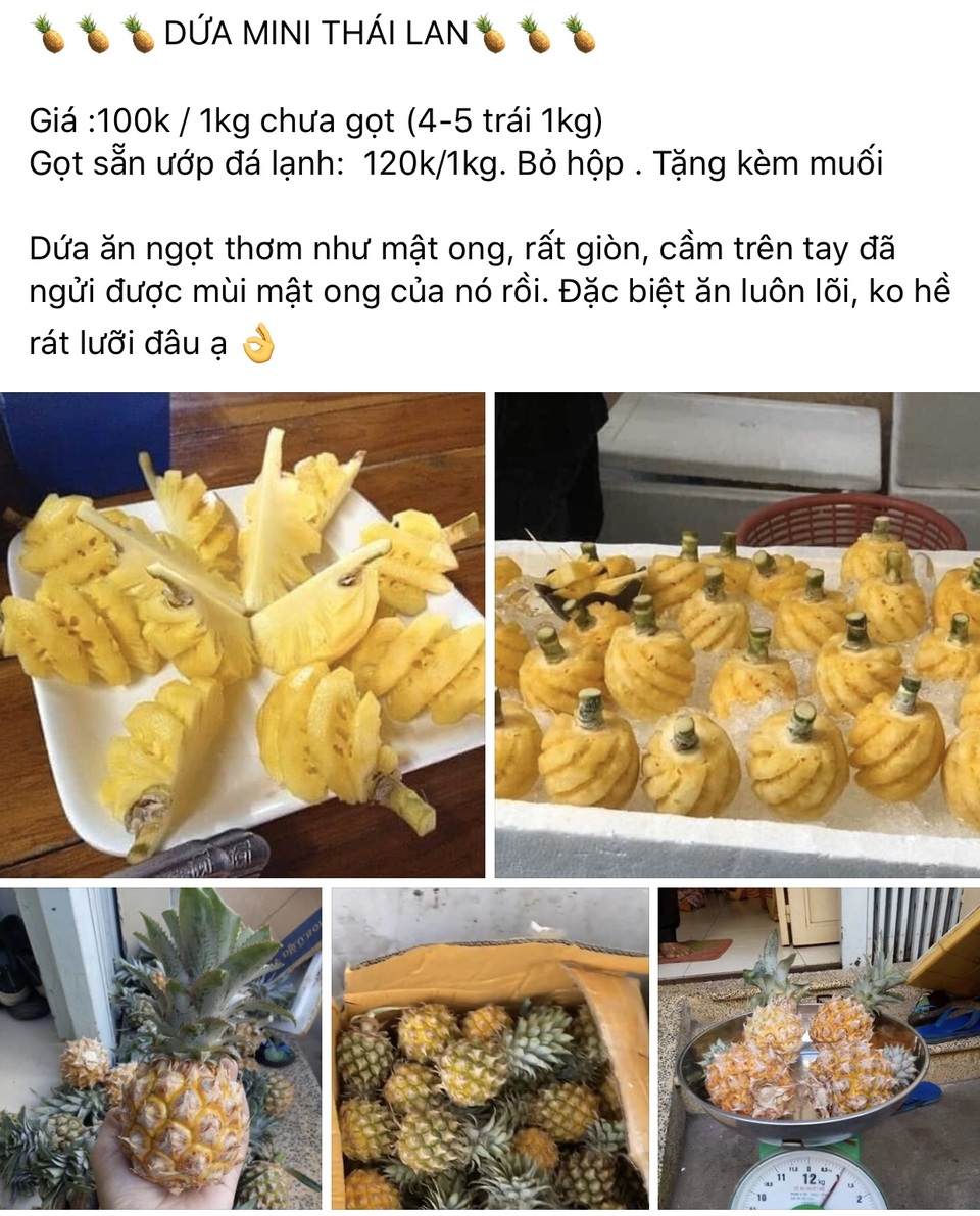 TPHCM: Dân sành ăn đổ xô mua dứa mini Thái giá cao - 2 TPHCM: Dân sành ăn đổ xô mua dứa mini Thái giá cao - 2