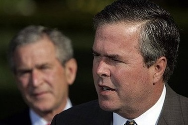 Em trai Bush không tranh cử vào Thượng viện