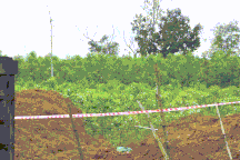 Hủy nổ, di dời một hầm đạn sót lại sau chiến tranh