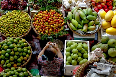 Nghịch lý: Nông sản lo “ế” đầu ra, dân vẫn phải dùng “hàng rởm”!