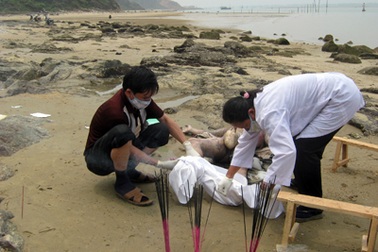 Phát hiện xác người đàn ông trôi dạt bên sông