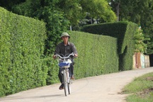 Ngỡ ngàng trước vẻ đẹp của làng quê Hà Tĩnh