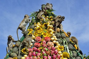 Thái Lan mở tiệc thết đãi... khỉ