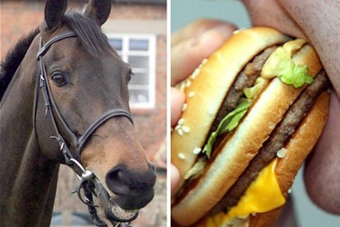 Châu Âu tai tiếng vì bê bối thịt ngựa “đội lốt” thịt bò