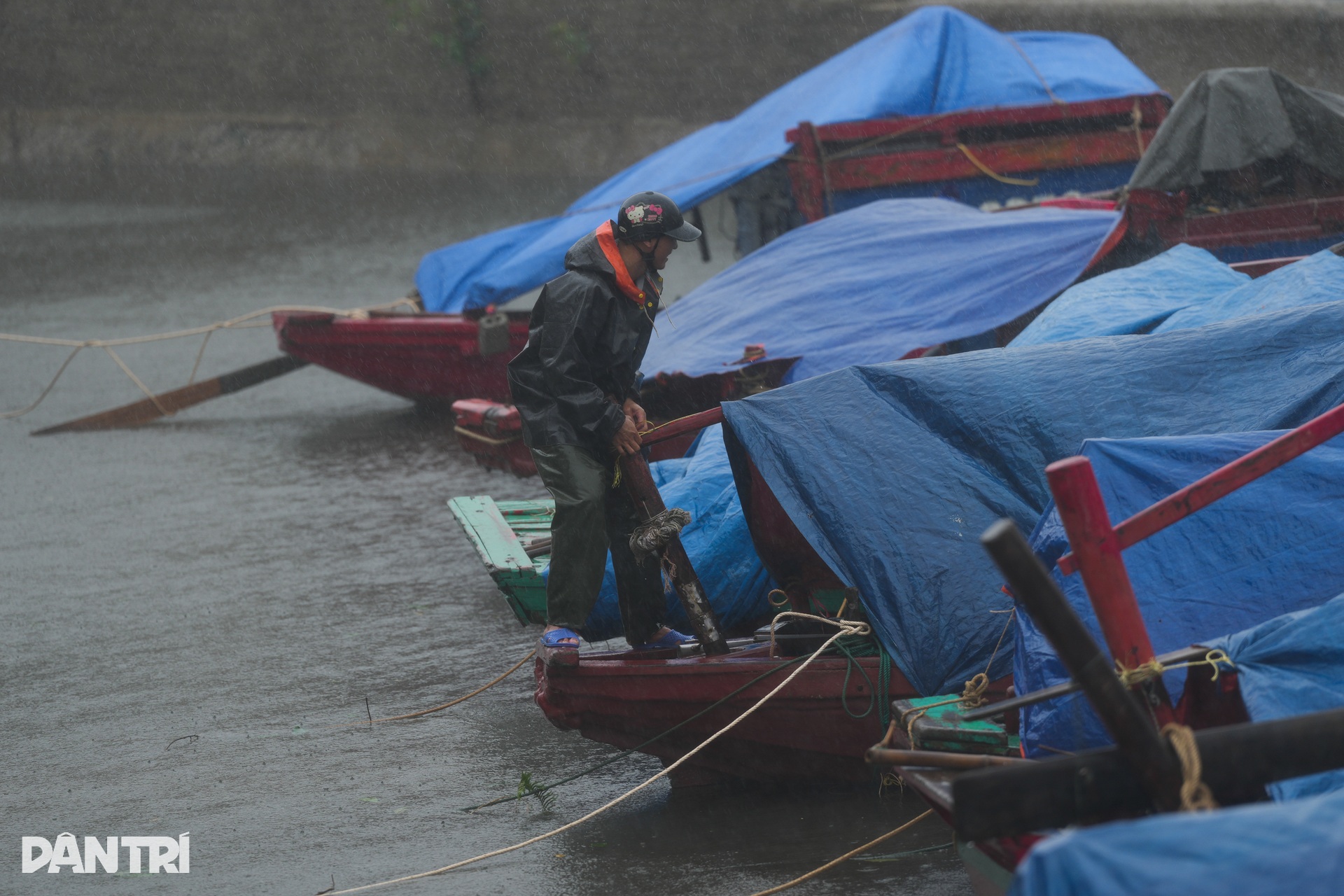 Nghệ An, Hà Tĩnh oằn mình chống bão Kajiki: Cây đổ, nhà tốc mái tứ tung - 16 Nghệ An, Hà Tĩnh oằn mình chống bão Kajiki: Cây đổ, nhà tốc mái tứ tung - 16