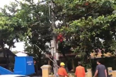 Công nhân điện lực tử vong sau khi sửa lưới hạ áp trên cột điện