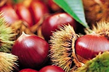 Thực phẩm bổ thận kiện tì cho nam giới