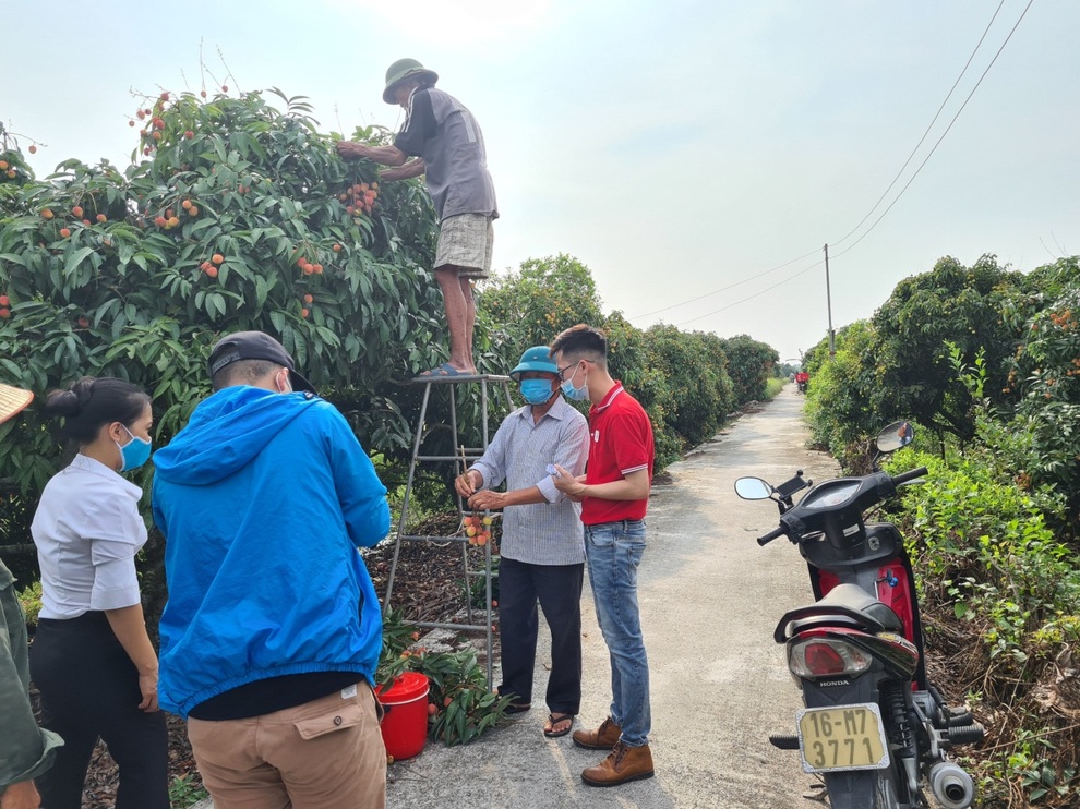 Nông dân Bắc Giang livestream chốt đơn vải thiều - 2