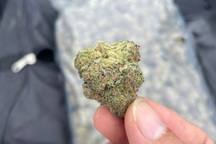 Ngư dân TPHCM vớt hơn 80kg cần sa trôi trên biển