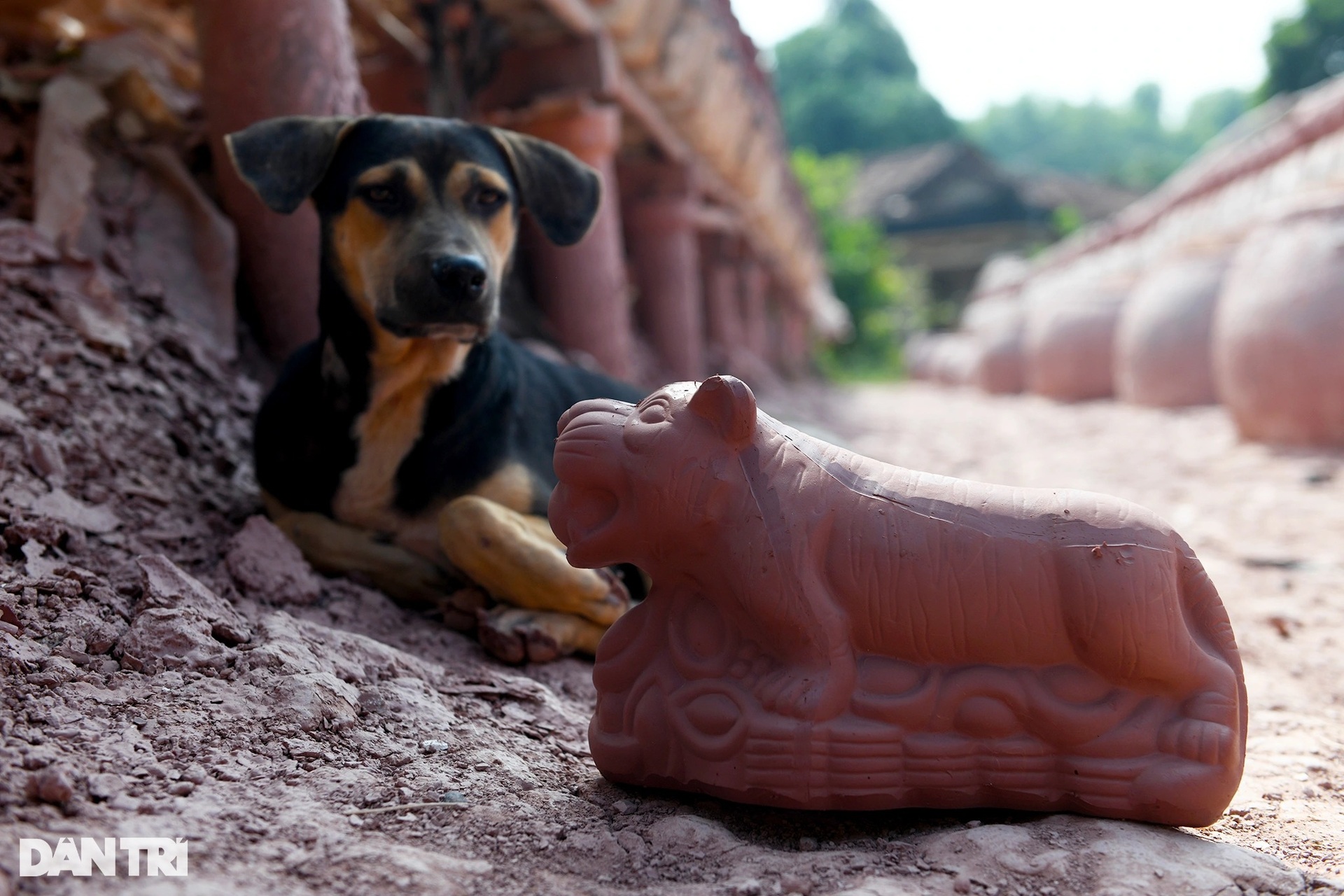 Hổ đất nung ở các lò gốm Bình Dương cháy hàng phục vụ thị trường Tết - 7 Hổ đất nung ở các lò gốm Bình Dương cháy hàng phục vụ thị trường Tết - 7