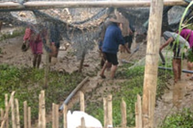 Trạm cảnh báo lũ chưa một lần… hú còi 