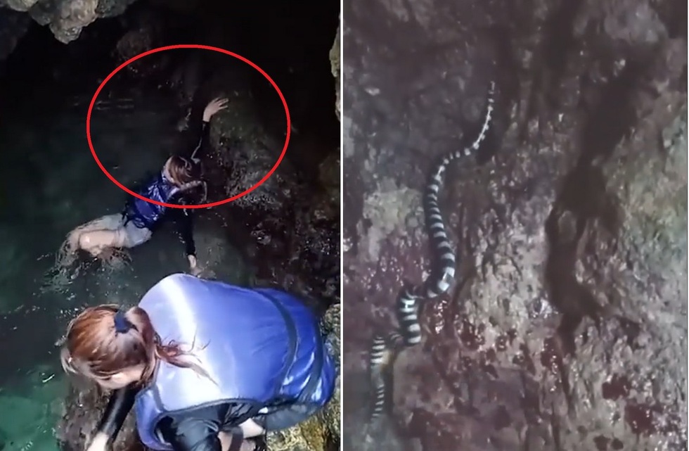 Nổi bật tuần qua: Hai cô gái bơi cạnh rắn biển cực độc mà không hay biết
